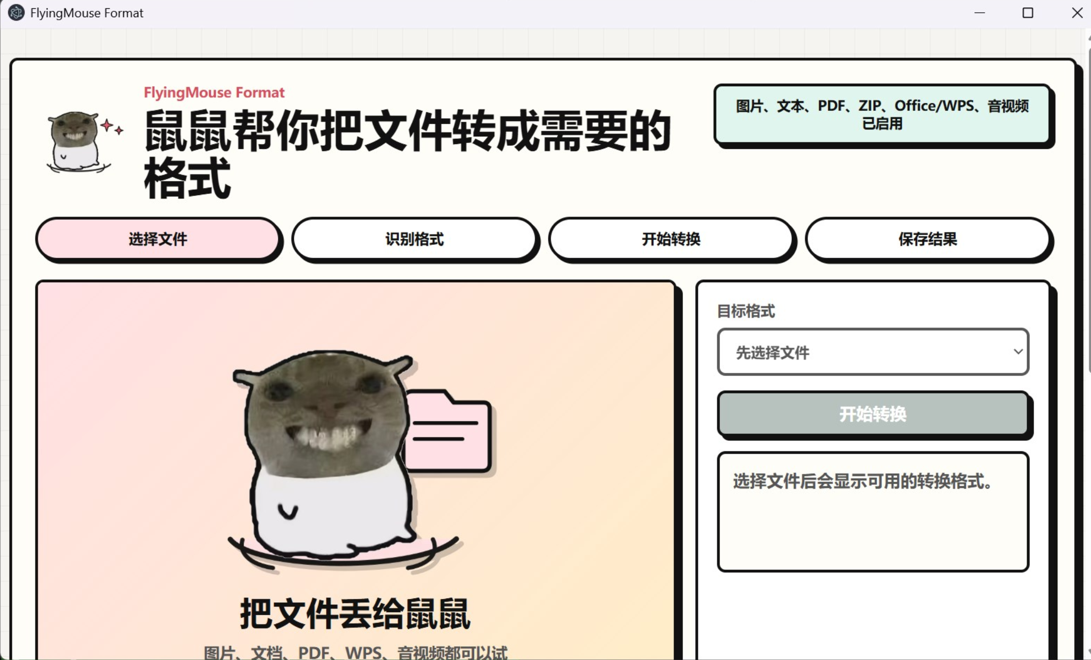 FlyingMouse Format 软件截图